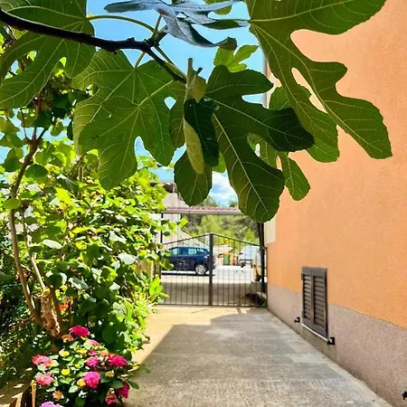 Apartament Spacious With Free Parking And Garden In Calm Area Zadar