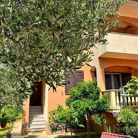 Spacious With Free Parking And Garden In Calm Area
