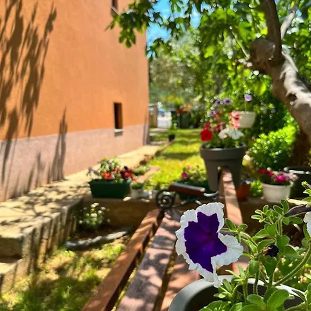 Spacious With Free Parking And Garden In Calm Area Zadar