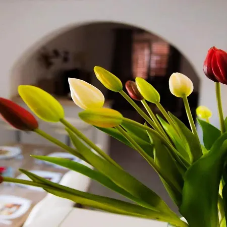 Spacious With Free Parking And Garden In Calm Area Appartamento Zara