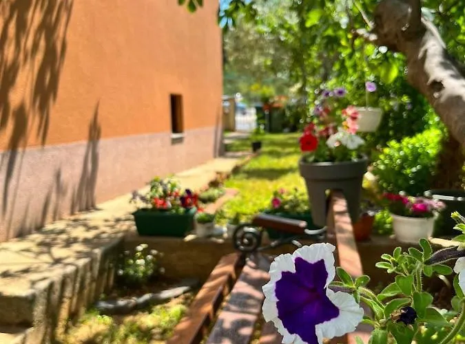 Spacious With Free Parking And Garden In Calm Area Zadar