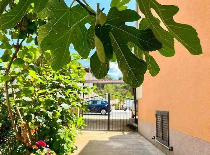 Apartament Spacious With Free Parking And Garden In Calm Area Zadar