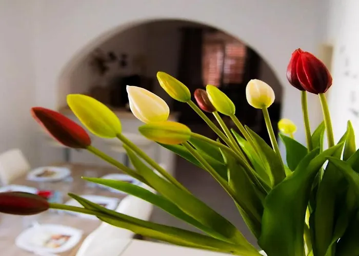 Spacious With Free Parking And Garden In Calm Area Apartament Zadar